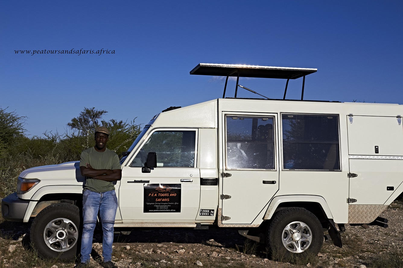PEA Tours and Safaris gallery